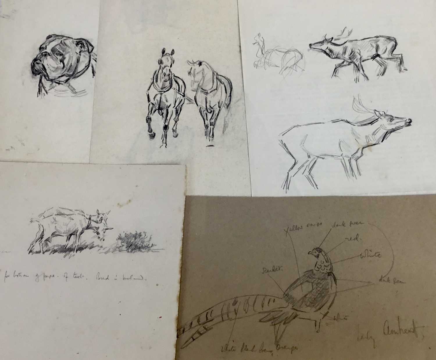 Lot 298 - Peter Biegel (1913-1987) group of unframed pencil sketches to include carriage horses, dogs, pheasants and other wildlife, 7 sheets, average size 18cm x 28cm