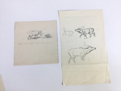 Lot 298 - Peter Biegel (1913-1987) group of unframed pencil sketches to include carriage horses, dogs, pheasants and other wildlife, 7 sheets, average size 18cm x 28cm