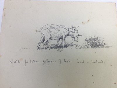 Lot 298 - Peter Biegel (1913-1987) group of unframed pencil sketches to include carriage horses, dogs, pheasants and other wildlife, 7 sheets, average size 18cm x 28cm