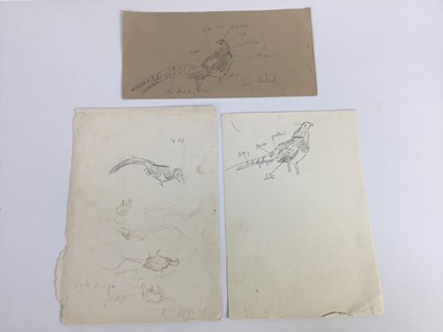 Lot 298 - Peter Biegel (1913-1987) group of unframed pencil sketches to include carriage horses, dogs, pheasants and other wildlife, 7 sheets, average size 18cm x 28cm