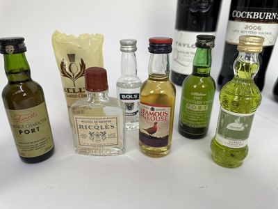 Lot 42 - Mixed group, to include Cockburns 2006 (2), Taylors 1999, Tokaji Aszu 4 Puttonyos, together with nine miniatures to include John Haig, Dewar White Label and others (13)