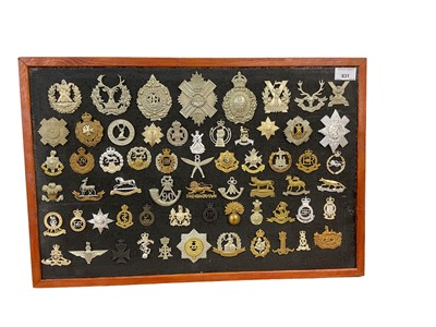 Lot 831 - Good collection of approximately 50 British military cap badges, to include Malta Regiment, Argyll and Sutherland Highlanders and Norfolk Regiment, mounted onto a board, many reproductions noted. (...