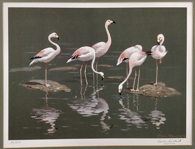 Lot 88 - Robin Reckitt, British b.1928. Signed limited edition print, flamingos. Framed. 31x41cm