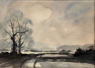 Lot 87 - Steve Warwick Fleming, 20th century British School. Watercolour, landscape with trees. Signed and inscribed verso, signed with initials lower right. Framed. 25.5x35.5cm