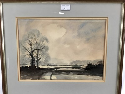 Lot 87 - Steve Warwick Fleming, 20th century British School. Watercolour, landscape with trees. Signed and inscribed verso, signed with initials lower right. Framed. 25.5x35.5cm