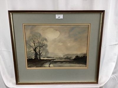 Lot 87 - Steve Warwick Fleming, 20th century British School. Watercolour, landscape with trees. Signed and inscribed verso, signed with initials lower right. Framed. 25.5x35.5cm