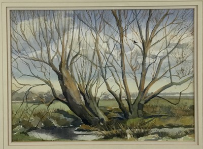 Lot 85 - LS Frost, 20th Century British School. Watercolour, landscape with tree in foreground. Signed lower right. Framed. 24x33cm