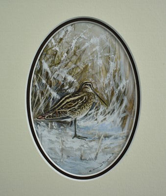 Lot 1014 - *Colin Burns (b. 1944) watercolour and gouache - Snipe in the snow, signed, 15cm x 10.5cm, in glazed gilt frame