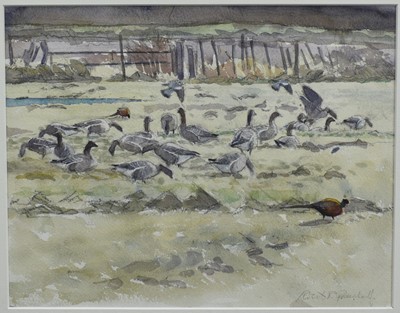 Lot 1299 - *Robert Greenhalf (b. 1950) pencil and watercolour - Geese and Pheasants at Holkham, signed, 25cm x 31.5cm, in glazed frame