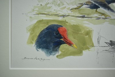 Lot 1008 - *Bruce Edward Pearson (b. 1950) watercolour - Moorhen sketches, Burnham Norton, signed and inscribed, 19cm x 26.5cm, in glazed frame