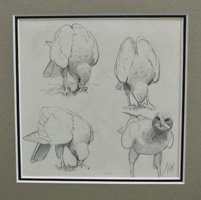 Lot 1013 - *John Cyril Harrison (1898-1985) two pencil sketches of Birds of Prey, 11cm x 14cm each and 12cm x 12cm, in glazed gilt frames