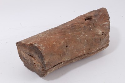 Lot 673 - Fossilised tree trunk section