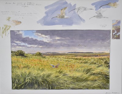 Lot 1009 - *Bruce Pearson (b.1950) pencil and watercolour sketches - Across the marsh at Stiffkey towards Holkham Pines, signed and inscribed, 48cm x 62cm, mounted