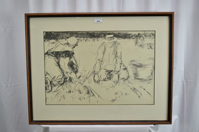 Lot 816 - Harry Becker (1865-1928) black and white lithograph - Gathering Potatoes, Holland, 36.5cm x 55cm, in glazed frame