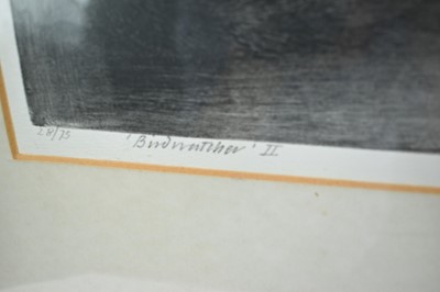 Lot 851 - *Richard Bawden (b.1936) signed limited edition etching - 'Birdwatcher' II, 59cm x 47cm, in glazed frame