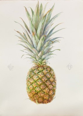 Lot 892 - *Louise Millar Watt (contemporary) watercolour, Pineapple, signed, 105 x 76cm