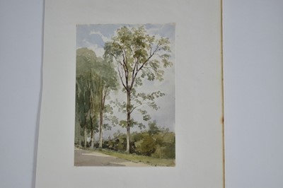 Lot 968 - Thomas Churchyard (1798-1865) watercolour - Rural Lane, 17.5cm x 12cm, sheet 22.5cm x 36.5cm