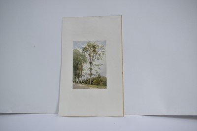 Lot 968 - Thomas Churchyard (1798-1865) watercolour - Rural Lane, 17.5cm x 12cm, sheet 22.5cm x 36.5cm