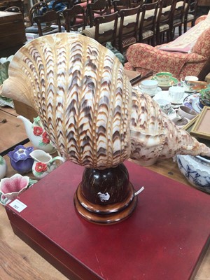 Lot 563 - Large conch shell table lamp
