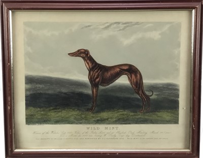 Lot 184 - Wild Mint - Winner of the Waterloo Cup 1883 - coloured engraving by Edwin Henry Hunt, framed and glazed