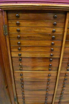 Lot 1604 - 19th century mahogany floor standing collector’s cabinet, with an arrangement of forty drawers in two banks, enclosed by pair of arched panel doors, on plinth base