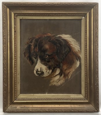 Lot 128 - Late Victorian oil on card - dogs head, 27cm x 22cm, framed