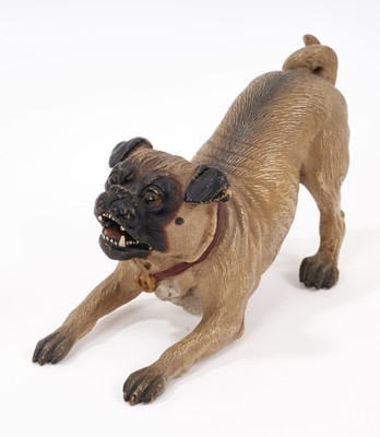 Lot 951 - A well-modelled cold painted bronze model of a pug dog