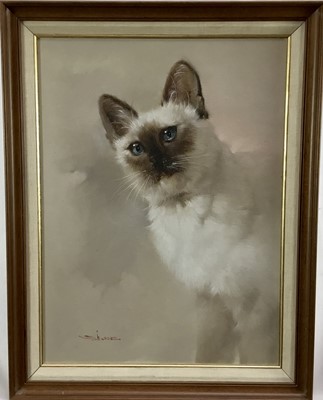 Lot 138 - S. Suscee, 20th century, oil on canvas, Burmese cat, signed, 
in wooden frame, 40 x 30cm