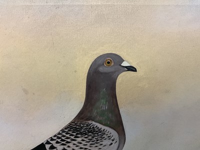 Lot 1293 - *Edward Henry Windred (1875-1953) oil on canvas - a Racing Pigeon, titled ''Young Bob'' NURP38WHC 83 owner C. Tossell. Walworth H.S. 1938. 1st London Federation Seaton Young bird race Velocity 1280...