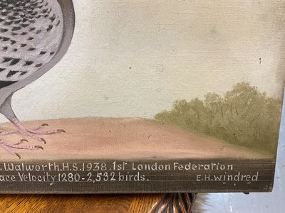 Lot 1293 - *Edward Henry Windred (1875-1953) oil on canvas - a Racing Pigeon, titled ''Young Bob'' NURP38WHC 83 owner C. Tossell. Walworth H.S. 1938. 1st London Federation Seaton Young bird race Velocity 1280...