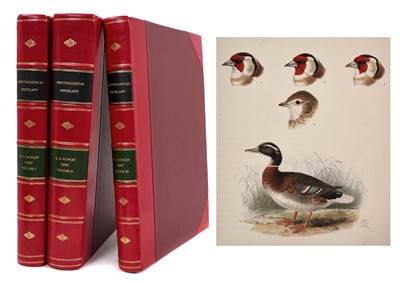 Lot 929 - George Dawson Rowley (editor) - Ornithological miscellany, 1875-8