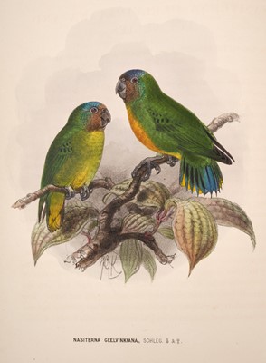 Lot 1571 - George Dawson Rowley (editor) - Ornithological miscellany, 1875-8