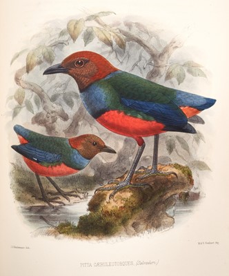 Lot 1571 - George Dawson Rowley (editor) - Ornithological miscellany, 1875-8