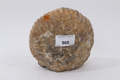 Lot 968 - Large ammonite fossil