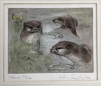 Lot 7 - Peter Partington (b. 1941) pair of aquatints - 'Otters' and 'Lambing Shed', both signed titled and numbered in pencil
