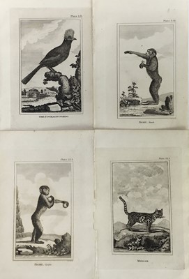 Lot 18 - 30 plates from De Buffon's Natural History of 1812, approx 18cm x 12cm