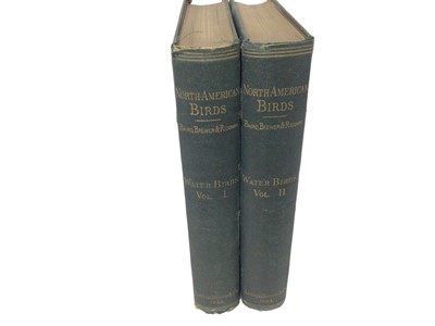 Lot 1162 - Baird, Brewer and Ridgway: The Water Birds of North America: Volumes I, II, Boston 1884, original tooled cloth binding (damp staining to bindings)