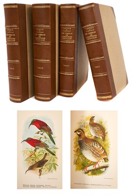 Lot 1160 - J. Delacour and P. Jabouille - Les Oiseaux de l'Indochine Francaise, 4 vol., first edition, one plain and 66 coloured plates after Gronvold, Paris, 1931, good modern half calf rebinding