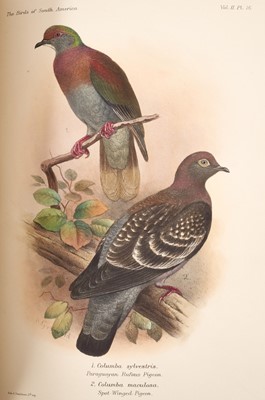 Lot 1179 - Wyndham W. Knatchbull-Hugessen Brabourne and Charles Chubb - The Birds of South America, 2 vol., 38 hand-coloured lithographed plates by Henrik Grönvold, 1912-17, good modern rebinding retaining or...