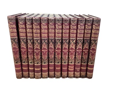 Lot 1167 - Richard Lydekker - The Royal Natural History - Mammals, 12 vols. 1894-1896 colour plates, original tooled cloth binding