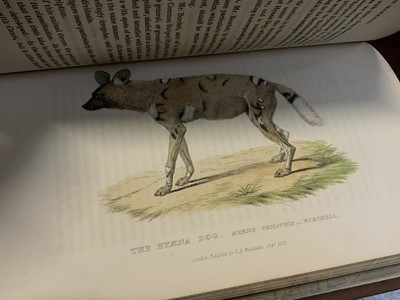 Lot 1171 - Georges Cuvier - The Animal Kingdom, pub. London: George B. Whittaker, Vols 1-8,1827-1829, extensive hand coloured plates, cloth binding