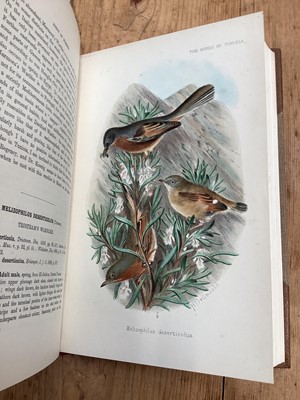 Lot 1152 - Joseph Isaac Spadafora Whitaker - The Birds of Tunisia, being a History of the Birds found in the Regency of Tunis, 2 volumes, 1st edition, R. H. Porter, 1905, modern half calf