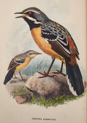 Lot 1173 - Edgar Leopoldo Layard - The Birds of South Africa, edited by R. Bowdler Sharpe, 12 hand-coloured lithograph plates by J.G. Keulemans, Bernard Quaritch, 1875-84, half calf