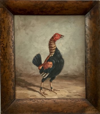 Lot 22 - Continental School 20th Century oil on canvas laid on board, A Fighting Cock, 25cm x 21cm, framed