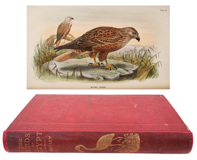 Lot 1159 - Shelley - A Handbook to the Birds of Egypt, 1st edition, 1872, 14 handcoloured plates