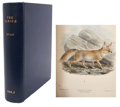 Lot 1157 - St George Jackson Mivart - Monograph of The Canidae, 1890 first edition, hand coloured lithographic plates by Keulemans, modern binding