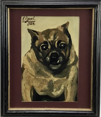 Lot 61 - Early 20th century oil on card of a Dog, signed F Lignel and dated 1924, 29cm x 19cm, in glazed frame