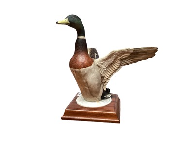 Lot 1190 - Peter Scott Crown Staffordshire limited edition duck - The Mallard