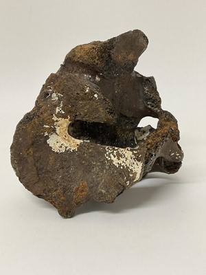 Lot 72 - Large unidentified partially fossilised bone