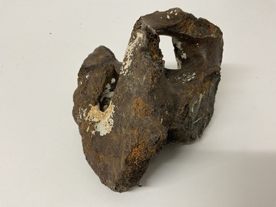 Lot 72 - Large unidentified partially fossilised bone